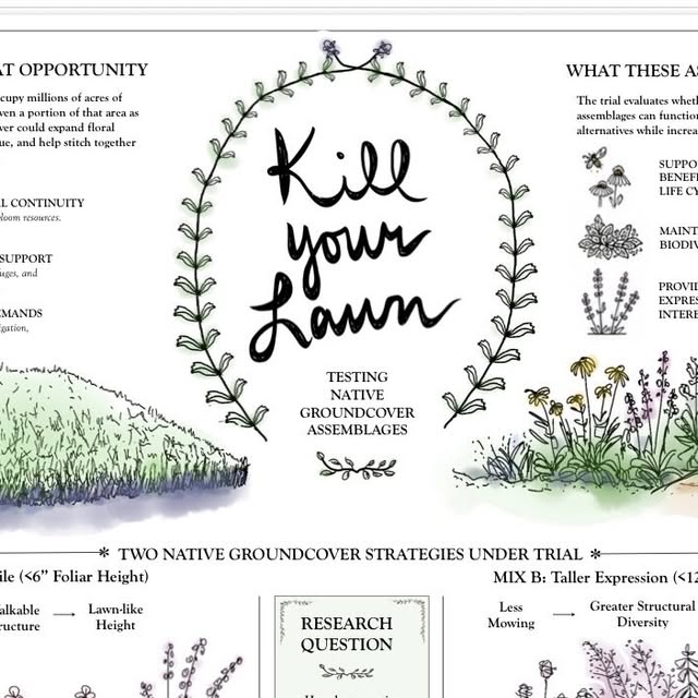 Research &mdash; Harper Botanical on Instagram